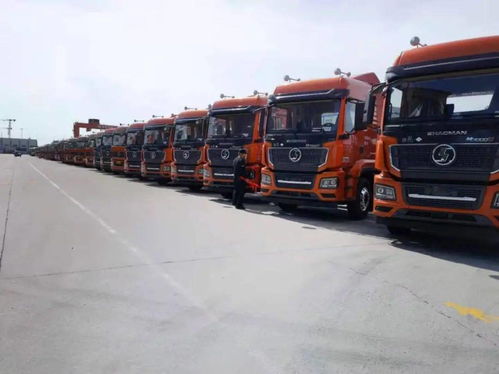 陜汽重卡 價值引領(lǐng)贏市場，品質(zhì)營銷交付忙，助力國內(nèi)貨物運(yùn)輸代理蓬勃發(fā)展