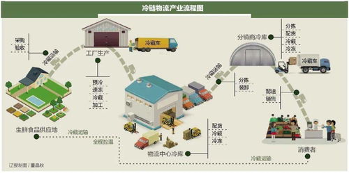 農(nóng)產(chǎn)品冷鏈物流建設(shè)加速，技術(shù)賦能保障食品安全與供應(yīng)鏈效率